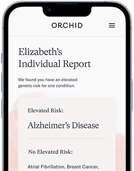 Individual Report Sample 1